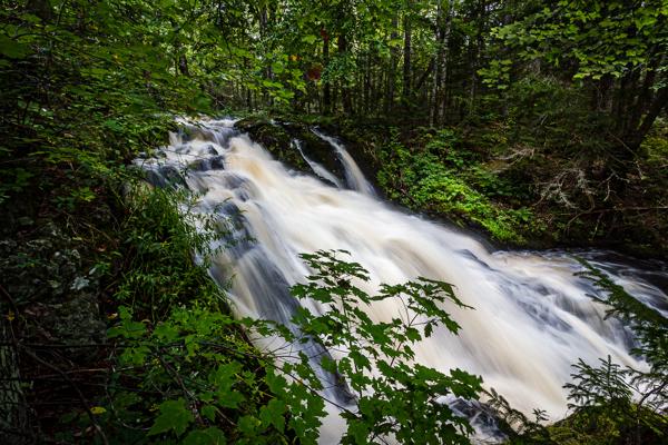 Forest Waterfall