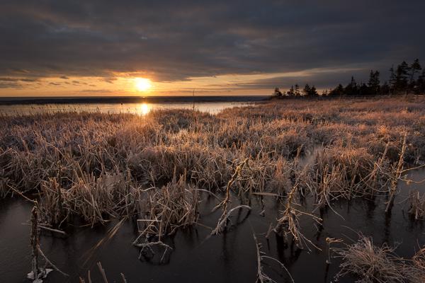 Frosted Marsh at Sunrise